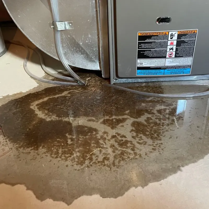 Pipe Burst and Leak Restoration in Canal Winchester, OH